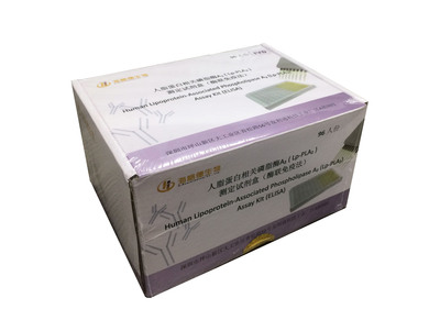 人脂蛋白相关磷脂酶A2（Lp-PLA2）