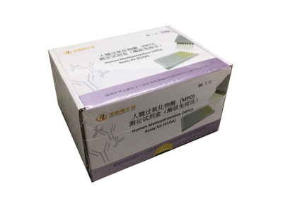 人髓过氧化物酶（MPO）