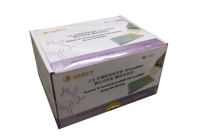 人N-末端脑钠肽前体（NT-proBNP）